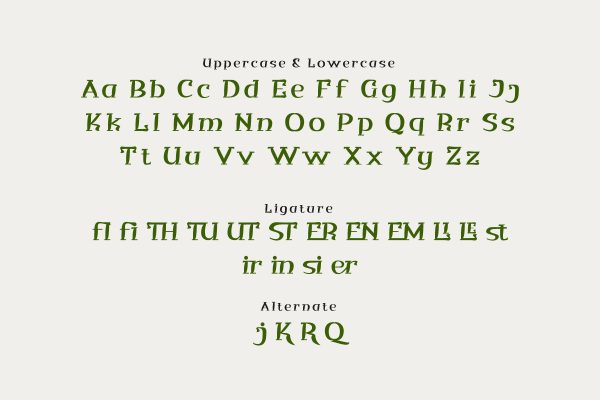 Qituen - Classic Modernism Font Sale - Image 3