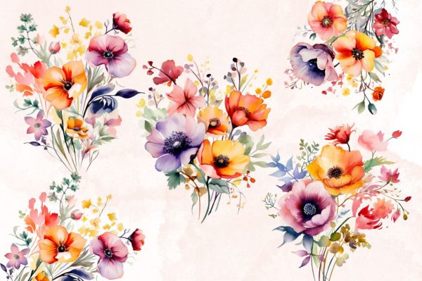 Watercolor Poppy Flowers  Sublimation Bundle Cheap