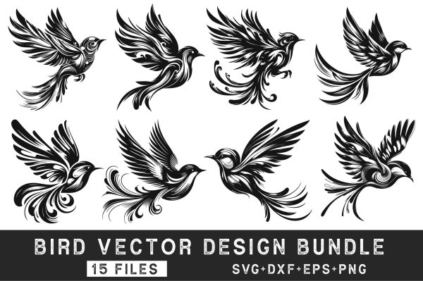 Bird Vector Design Bundle For Sale