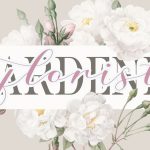 Amanda script Supply - Image 2