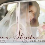 Amanda script Supply - Image 3