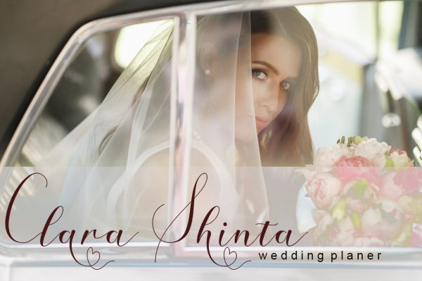 Amanda script Supply - Image 3