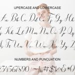Amanda script Supply - Image 4