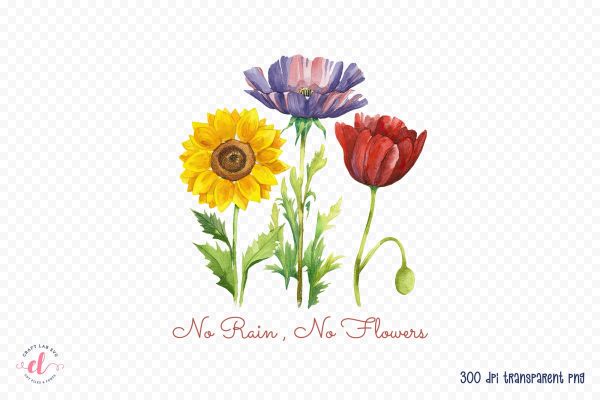 No Rain No Flowers | Flower Quote Sublimation For Sale