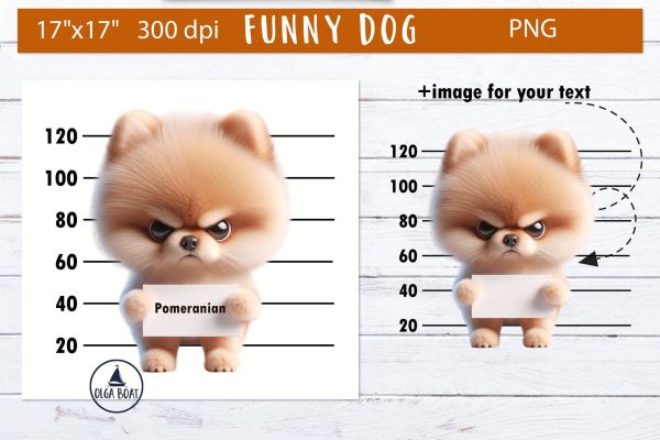 Pomeranian clipart | Funny dog sublimation For Discount