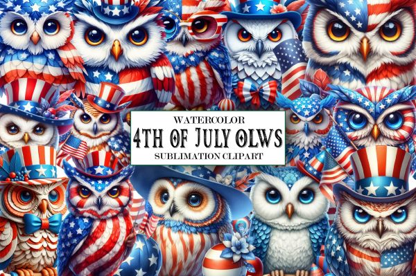 Watercolor 4th of July owls Clipart Online Sale