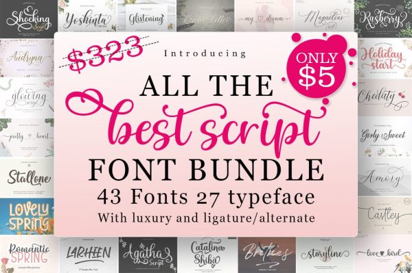 Best Script Font Bundle Online Hot Sale