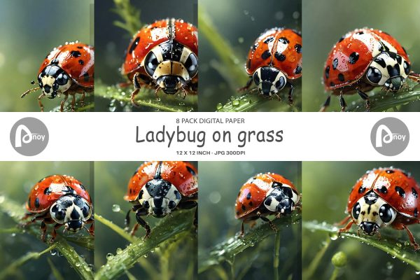 Digital Paper Ladybug on grass Cheap