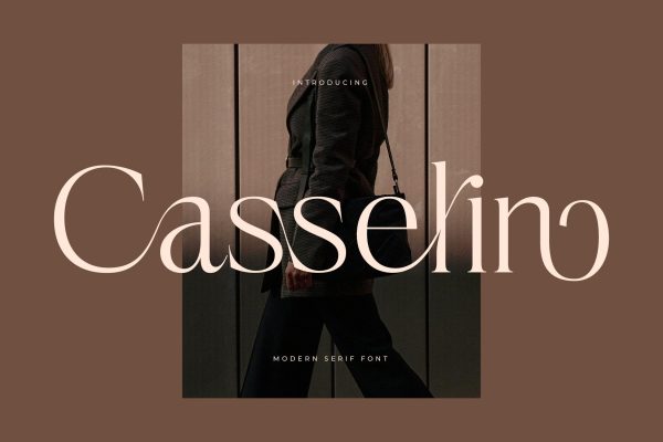 Casselin - Modern Serif Font Hot on Sale
