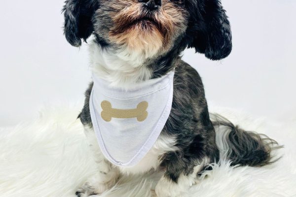 Dog Bone Mini Embroidery Sale