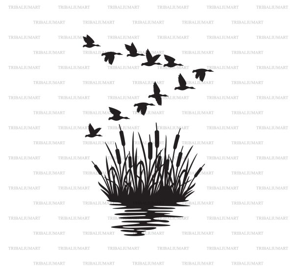 Flock of mallard ducks and reeds background silhouette (bulrush and grass) on Sale