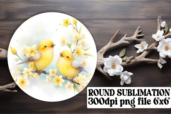 Sweet Circle Coaster Bundle For Cheap