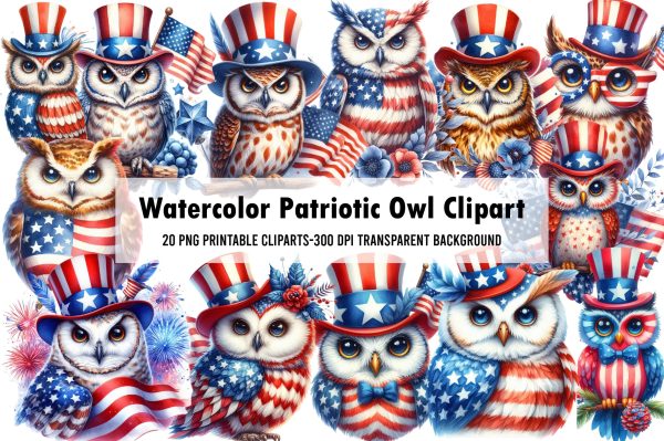 Watercolor Patriotic Owl Clipart Supply