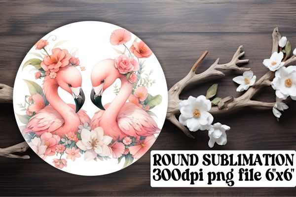 Colorful Bird Circle Designs Online Sale