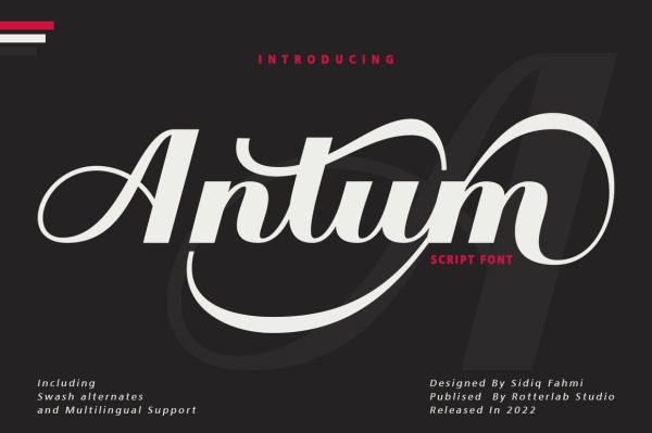 Antum - Vintage Bold Script For Sale