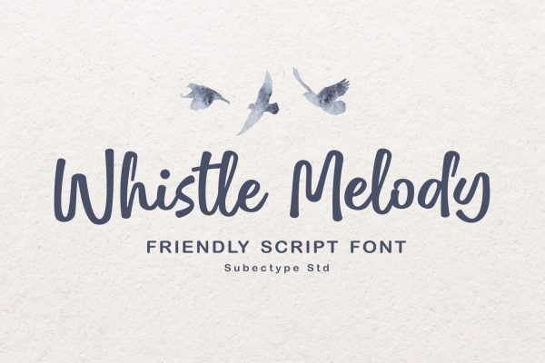 Whistle Melody - Fun Script Font For Discount