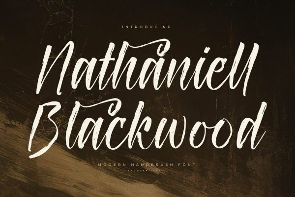 Nathaniell Blackwood - Modern Handbrush Font Online Hot Sale