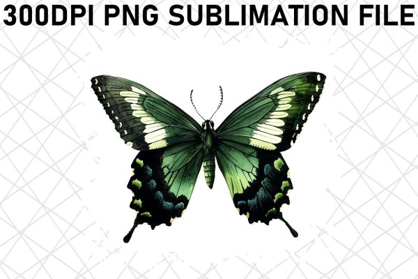 Graceful Watercolor Butterfly Set For Cheap