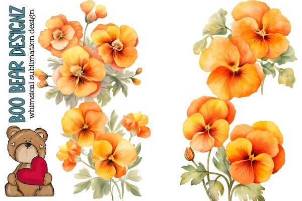 Watercolor Pastel Orange Pansy Clipart Cheap