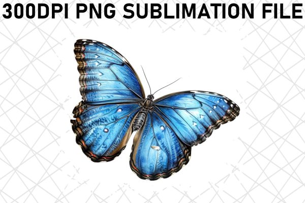 Charming Watercolor Butterfly Patterns Supply