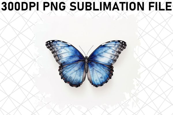 Whimsical Butterfly Sublimation Set Online Sale