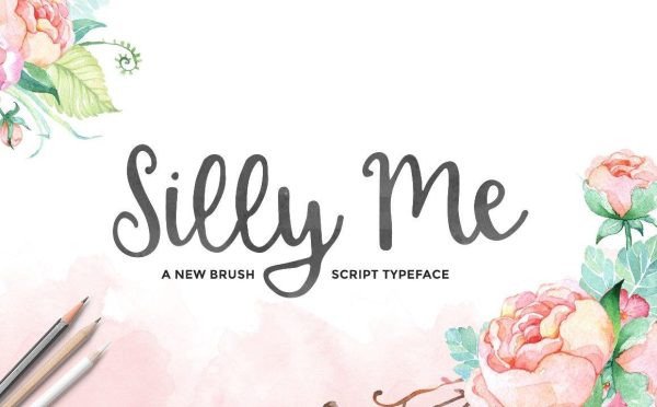 A Silly Me Script Discount
