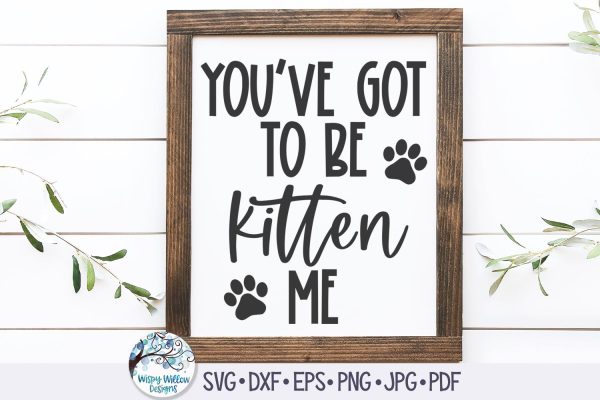 You ve Got To Be Kitten Me Svg For Cheap