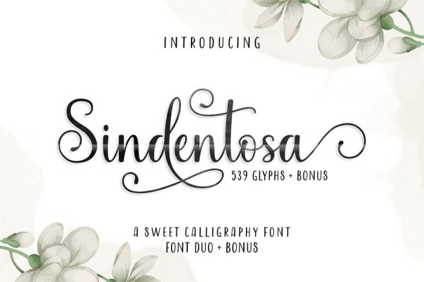 Sindentosa Font Duo & Bonus Sale