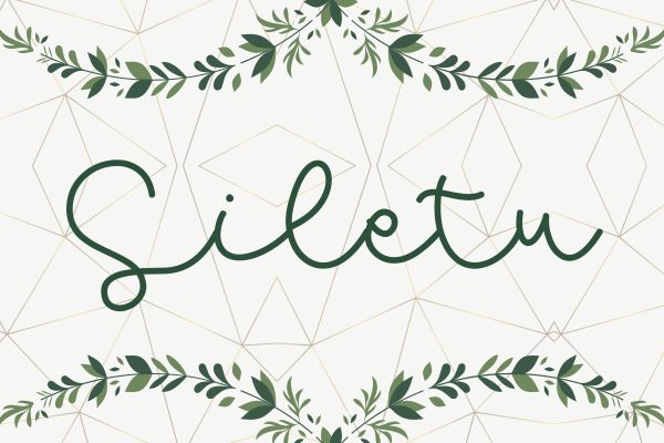 Siletu Font on Sale