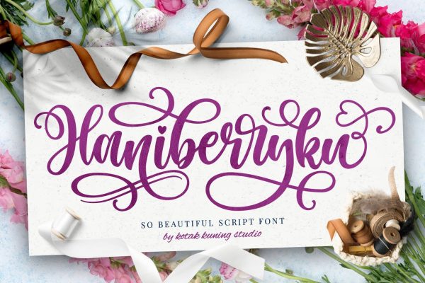 Haniberryku Font - Beautiful Script on Sale